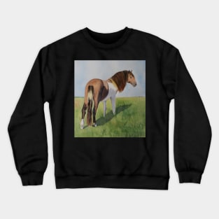 Wild Horse from Assateague Island Crewneck Sweatshirt